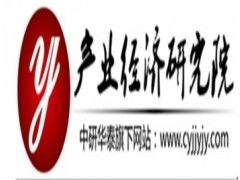 中國軟件服務(wù)外包行業(yè)市場現(xiàn)狀調(diào)研及投資戰(zhàn)略研究報(bào)告
